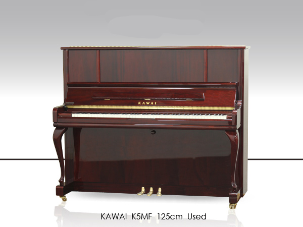 Music City – Tổng Kho Piano, Guitar, Organ | Dịch Vụ Giáo Dục Âm Nhạc