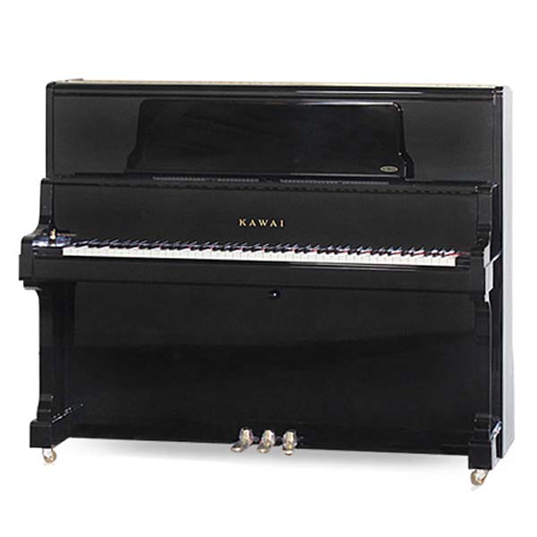 Music City – Tổng Kho Piano, Guitar, Organ | Dịch Vụ Giáo Dục Âm Nhạc