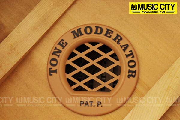 Music City – Tổng Kho Piano, Guitar, Organ | Dịch Vụ Giáo Dục Âm Nhạc