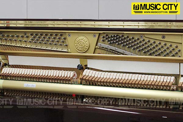 Music City – Tổng Kho Piano, Guitar, Organ | Dịch Vụ Giáo Dục Âm Nhạc