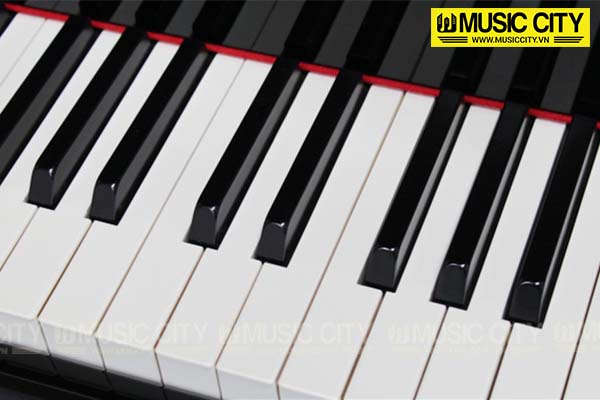 Music City – Tổng Kho Piano, Guitar, Organ | Dịch Vụ Giáo Dục Âm Nhạc