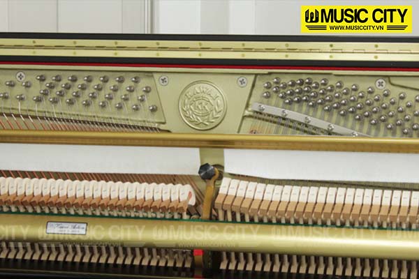 Music City – Tổng Kho Piano, Guitar, Organ | Dịch Vụ Giáo Dục Âm Nhạc