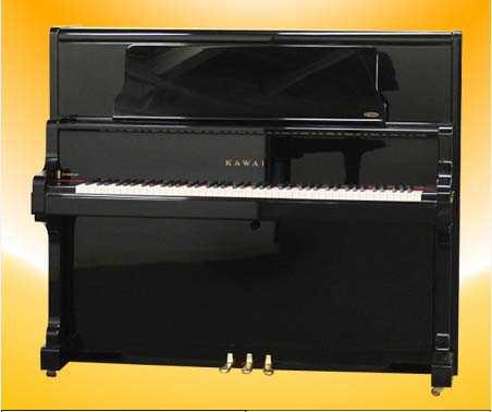Music City – Tổng Kho Piano, Guitar, Organ | Dịch Vụ Giáo Dục Âm Nhạc