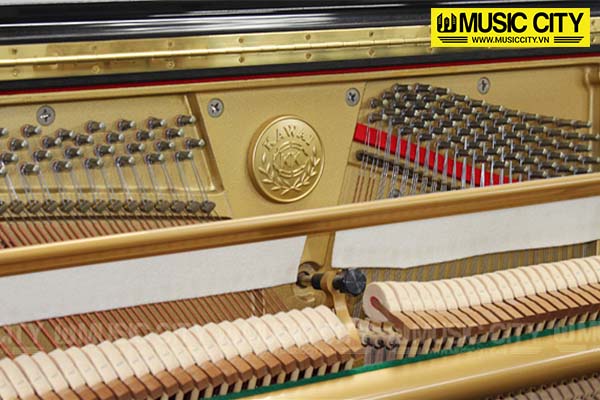 Music City – Tổng Kho Piano, Guitar, Organ | Dịch Vụ Giáo Dục Âm Nhạc