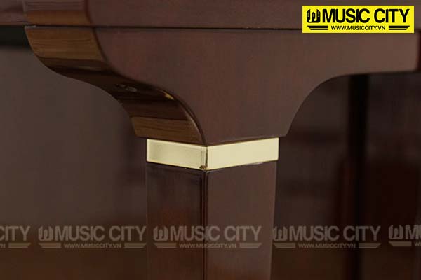 Music City – Tổng Kho Piano, Guitar, Organ | Dịch Vụ Giáo Dục Âm Nhạc
