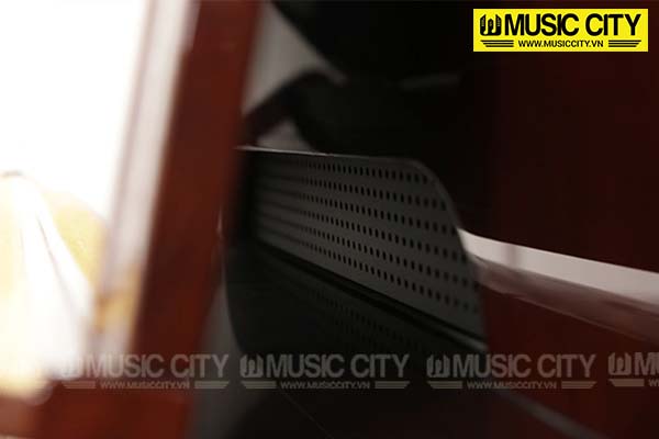 Music City – Tổng Kho Piano, Guitar, Organ | Dịch Vụ Giáo Dục Âm Nhạc