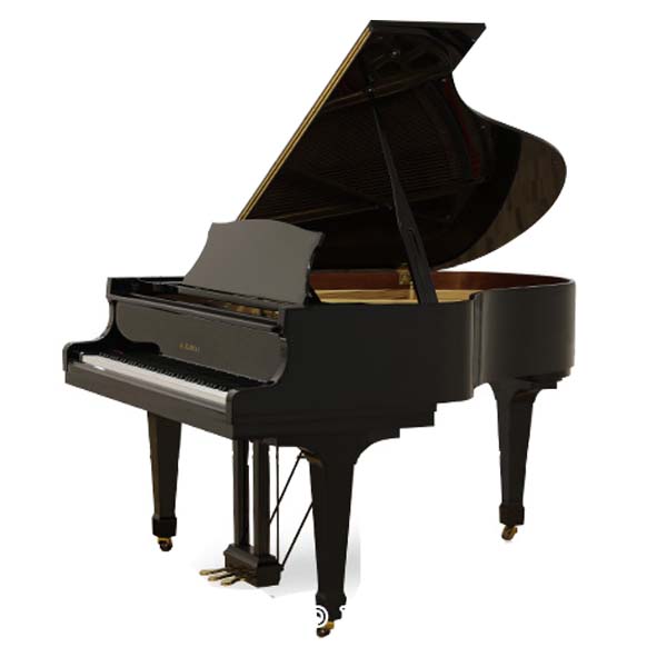 Music City – Tổng Kho Piano, Guitar, Organ | Dịch Vụ Giáo Dục Âm Nhạc