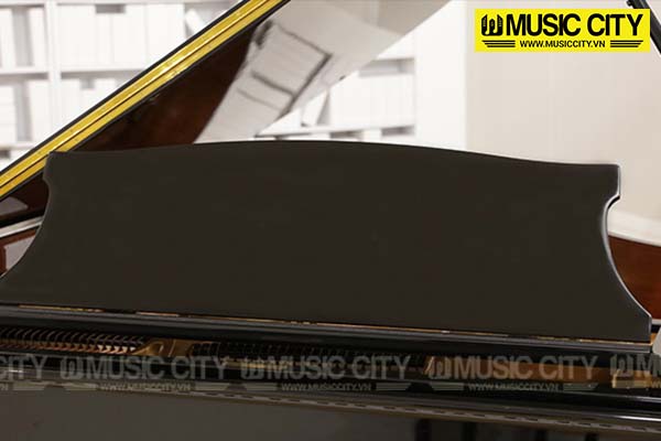 Music City – Tổng Kho Piano, Guitar, Organ | Dịch Vụ Giáo Dục Âm Nhạc