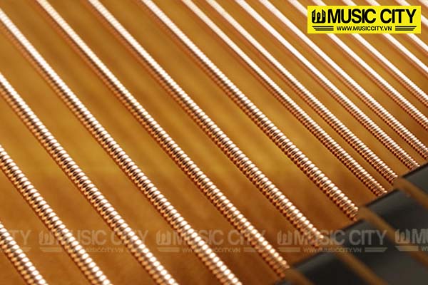 Music City – Tổng Kho Piano, Guitar, Organ | Dịch Vụ Giáo Dục Âm Nhạc