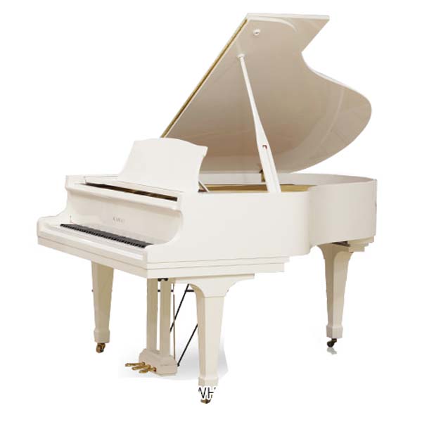 Music City – Tổng Kho Piano, Guitar, Organ | Dịch Vụ Giáo Dục Âm Nhạc