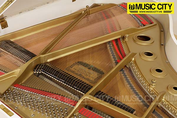 Music City – Tổng Kho Piano, Guitar, Organ | Dịch Vụ Giáo Dục Âm Nhạc