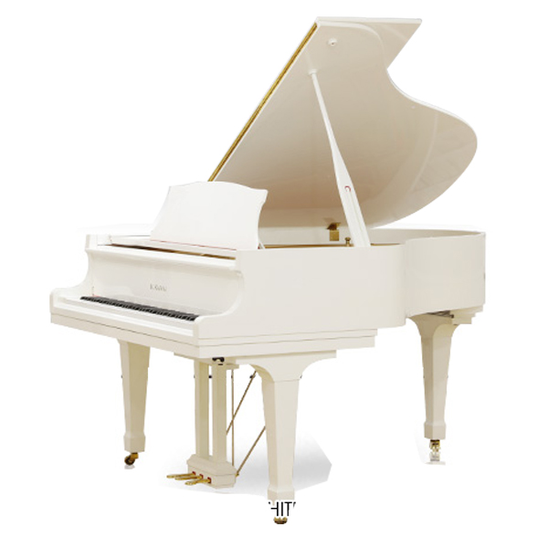 Music City – Tổng Kho Piano, Guitar, Organ | Dịch Vụ Giáo Dục Âm Nhạc
