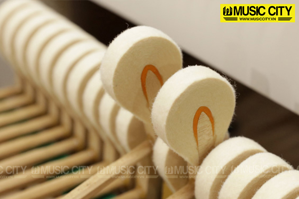 Music City – Tổng Kho Piano, Guitar, Organ | Dịch Vụ Giáo Dục Âm Nhạc