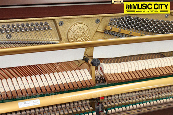 Music City – Tổng Kho Piano, Guitar, Organ | Dịch Vụ Giáo Dục Âm Nhạc