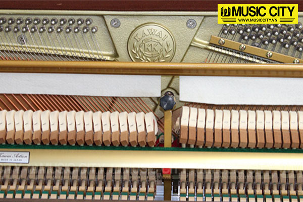 Music City – Tổng Kho Piano, Guitar, Organ | Dịch Vụ Giáo Dục Âm Nhạc