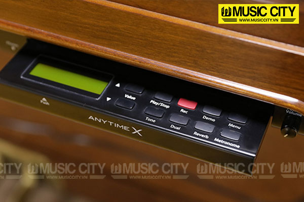 Music City – Tổng Kho Piano, Guitar, Organ | Dịch Vụ Giáo Dục Âm Nhạc