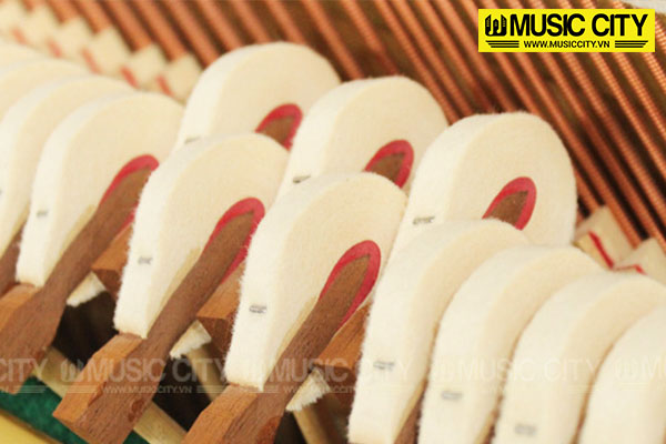 Music City – Tổng Kho Piano, Guitar, Organ | Dịch Vụ Giáo Dục Âm Nhạc
