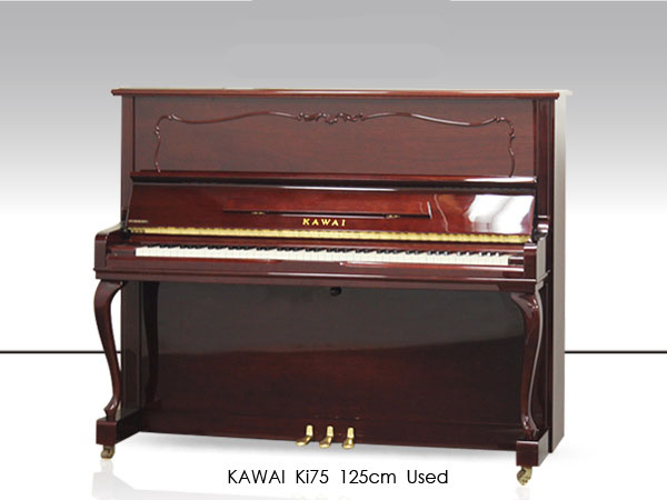 Music City – Tổng Kho Piano, Guitar, Organ | Dịch Vụ Giáo Dục Âm Nhạc
