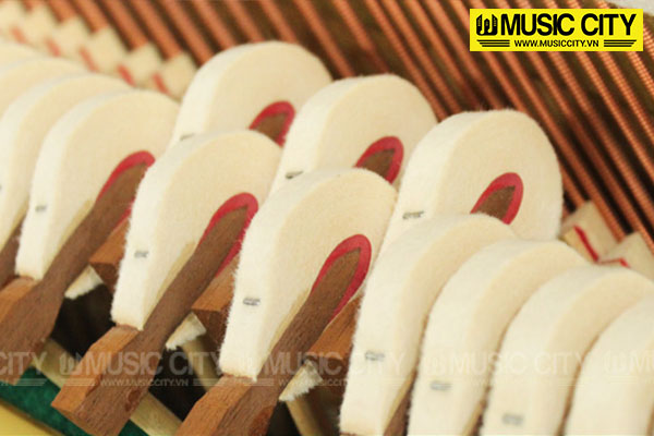 Music City – Tổng Kho Piano, Guitar, Organ | Dịch Vụ Giáo Dục Âm Nhạc
