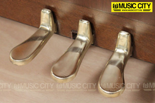 Music City – Tổng Kho Piano, Guitar, Organ | Dịch Vụ Giáo Dục Âm Nhạc