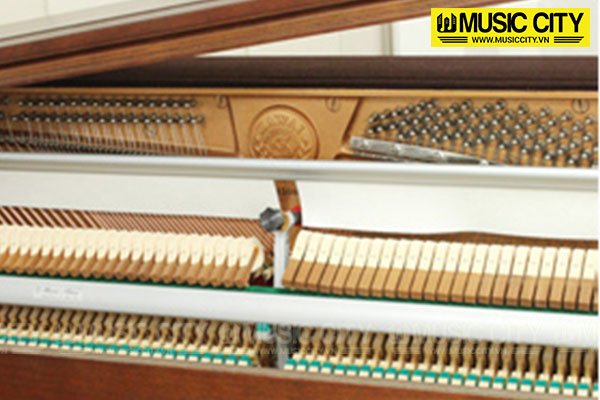 Music City – Tổng Kho Piano, Guitar, Organ | Dịch Vụ Giáo Dục Âm Nhạc