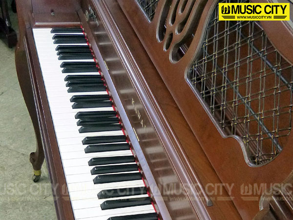 Music City – Tổng Kho Piano, Guitar, Organ | Dịch Vụ Giáo Dục Âm Nhạc