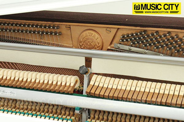 Music City – Tổng Kho Piano, Guitar, Organ | Dịch Vụ Giáo Dục Âm Nhạc