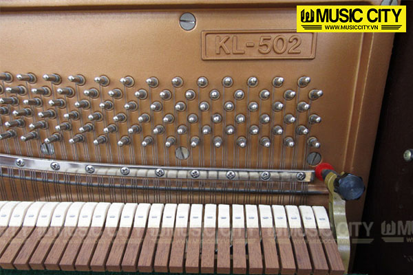 Music City – Tổng Kho Piano, Guitar, Organ | Dịch Vụ Giáo Dục Âm Nhạc