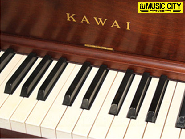 Music City – Tổng Kho Piano, Guitar, Organ | Dịch Vụ Giáo Dục Âm Nhạc