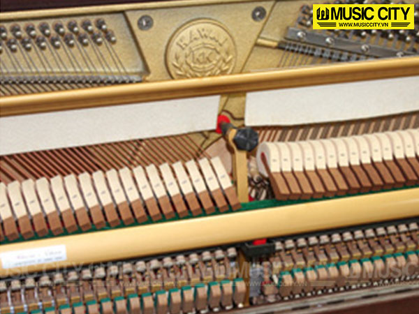 Music City – Tổng Kho Piano, Guitar, Organ | Dịch Vụ Giáo Dục Âm Nhạc