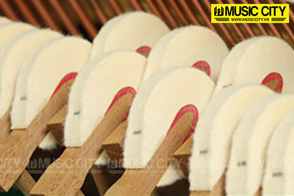 Music City – Tổng Kho Piano, Guitar, Organ | Dịch Vụ Giáo Dục Âm Nhạc