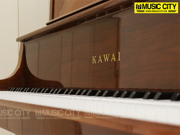 Music City – Tổng Kho Piano, Guitar, Organ | Dịch Vụ Giáo Dục Âm Nhạc