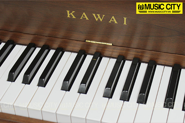 Music City – Tổng Kho Piano, Guitar, Organ | Dịch Vụ Giáo Dục Âm Nhạc