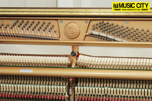 Music City – Tổng Kho Piano, Guitar, Organ | Dịch Vụ Giáo Dục Âm Nhạc