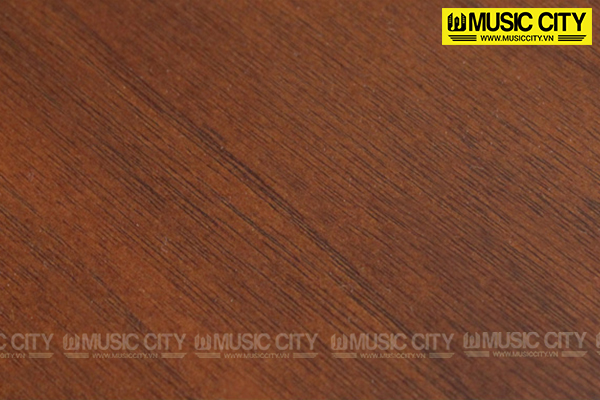 Music City – Tổng Kho Piano, Guitar, Organ | Dịch Vụ Giáo Dục Âm Nhạc