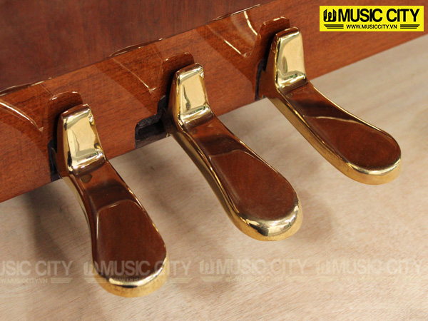 Music City – Tổng Kho Piano, Guitar, Organ | Dịch Vụ Giáo Dục Âm Nhạc