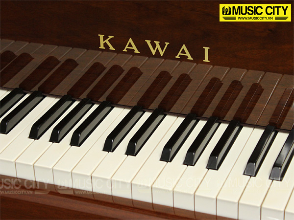 Music City – Tổng Kho Piano, Guitar, Organ | Dịch Vụ Giáo Dục Âm Nhạc