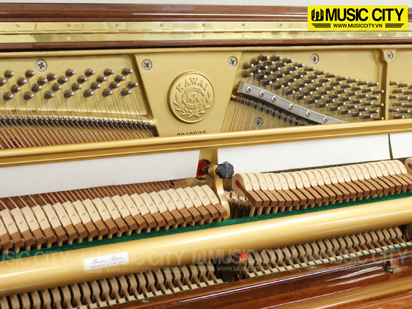 Music City – Tổng Kho Piano, Guitar, Organ | Dịch Vụ Giáo Dục Âm Nhạc