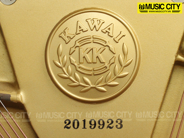 Music City – Tổng Kho Piano, Guitar, Organ | Dịch Vụ Giáo Dục Âm Nhạc