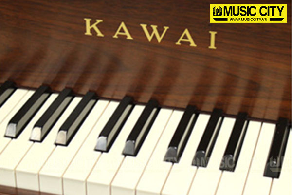 Music City – Tổng Kho Piano, Guitar, Organ | Dịch Vụ Giáo Dục Âm Nhạc