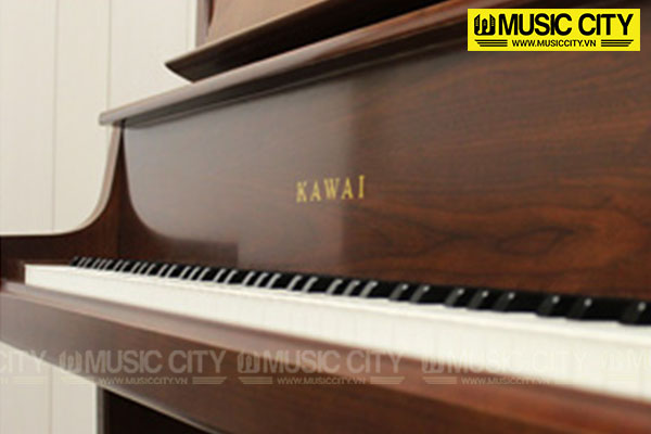 Music City – Tổng Kho Piano, Guitar, Organ | Dịch Vụ Giáo Dục Âm Nhạc