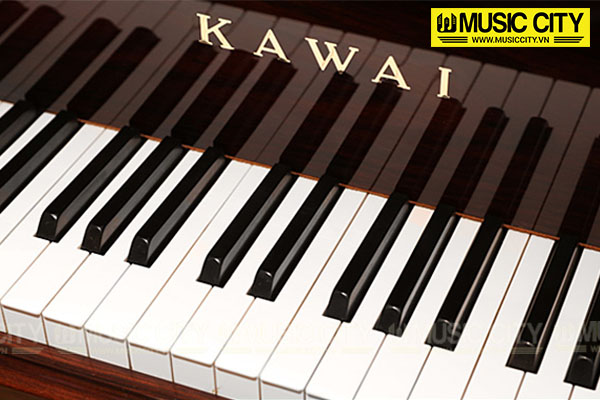 Music City – Tổng Kho Piano, Guitar, Organ | Dịch Vụ Giáo Dục Âm Nhạc
