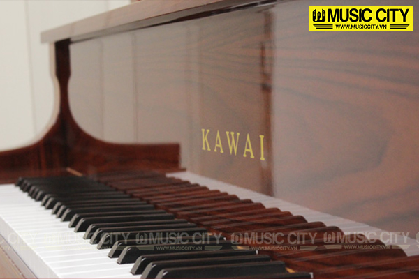 Music City – Tổng Kho Piano, Guitar, Organ | Dịch Vụ Giáo Dục Âm Nhạc