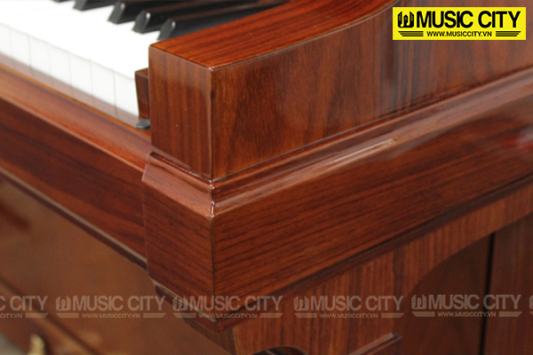 Music City – Tổng Kho Piano, Guitar, Organ | Dịch Vụ Giáo Dục Âm Nhạc