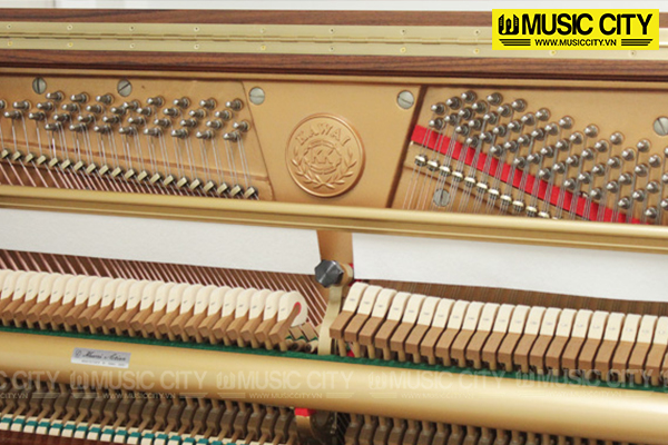 Music City – Tổng Kho Piano, Guitar, Organ | Dịch Vụ Giáo Dục Âm Nhạc