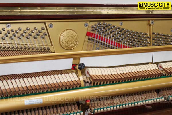 Music City – Tổng Kho Piano, Guitar, Organ | Dịch Vụ Giáo Dục Âm Nhạc