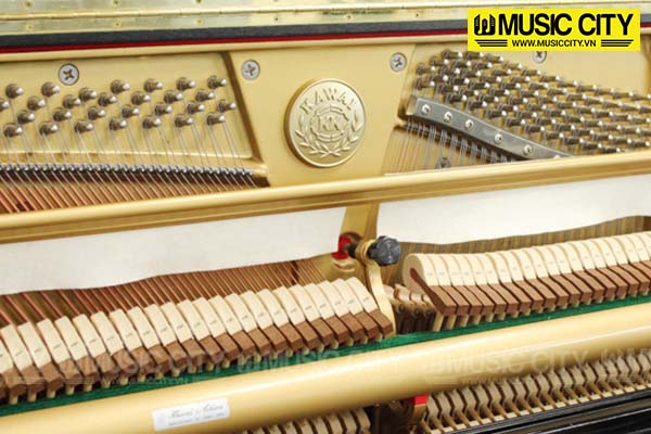 Music City – Tổng Kho Piano, Guitar, Organ | Dịch Vụ Giáo Dục Âm Nhạc