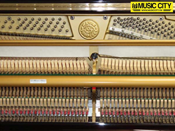 Music City – Tổng Kho Piano, Guitar, Organ | Dịch Vụ Giáo Dục Âm Nhạc