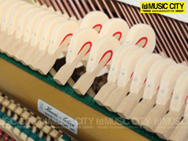 Music City – Tổng Kho Piano, Guitar, Organ | Dịch Vụ Giáo Dục Âm Nhạc