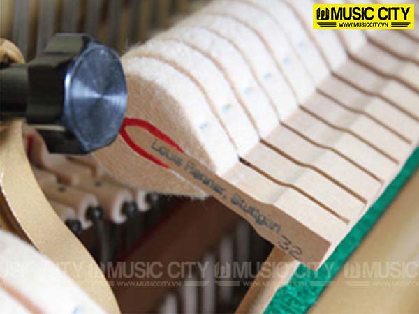 Music City – Tổng Kho Piano, Guitar, Organ | Dịch Vụ Giáo Dục Âm Nhạc